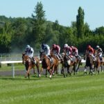 Horse Racing Positions