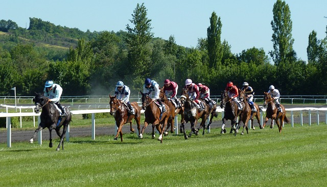 Horse Racing Positions